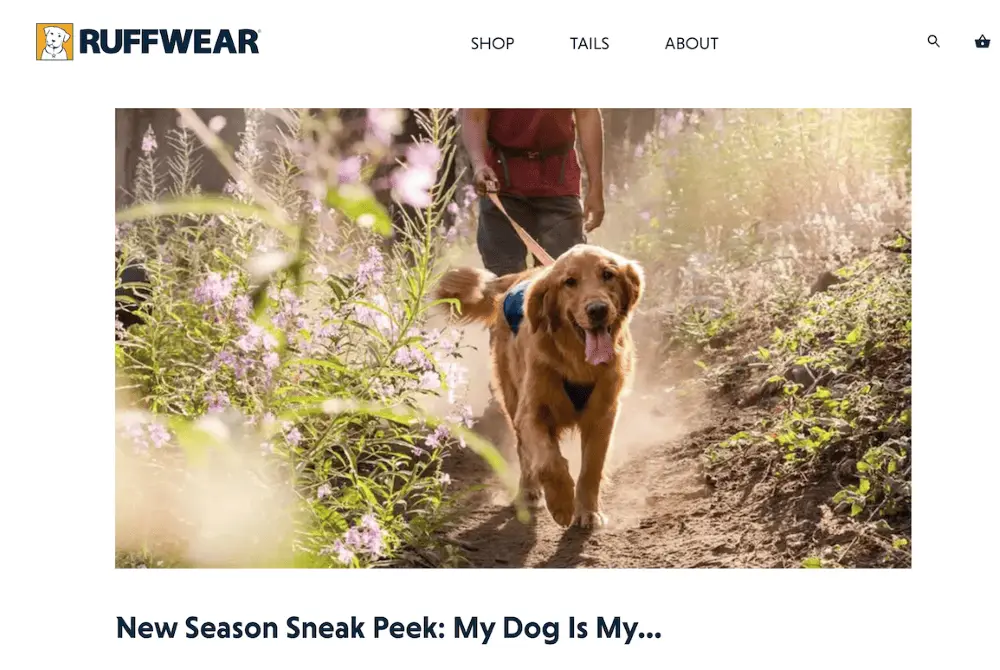 Image of Ruffwear's blog