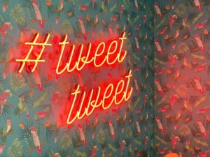 Twitter marketing