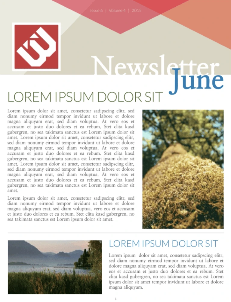 Angles newsletter template