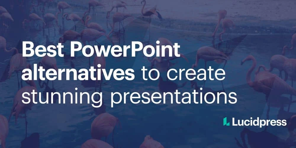 Best PowerPoint alternatives to create stunning presentations