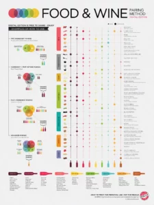 Food and wine pairings infographic