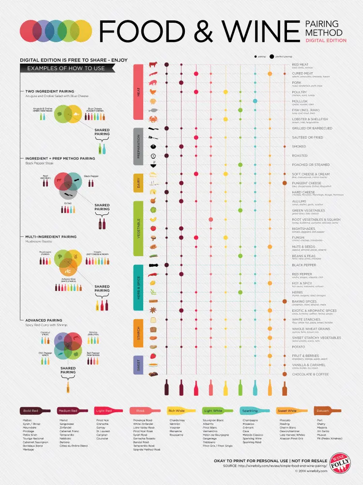 Food and wine pairings infographic