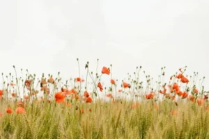 10 healthcare marketing ideas and strategies
