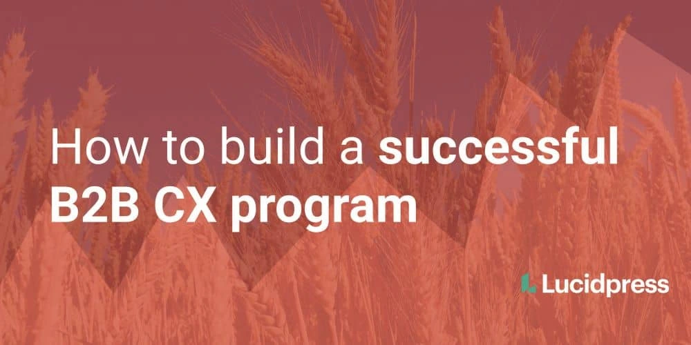 How to build a successful B2B CX program
