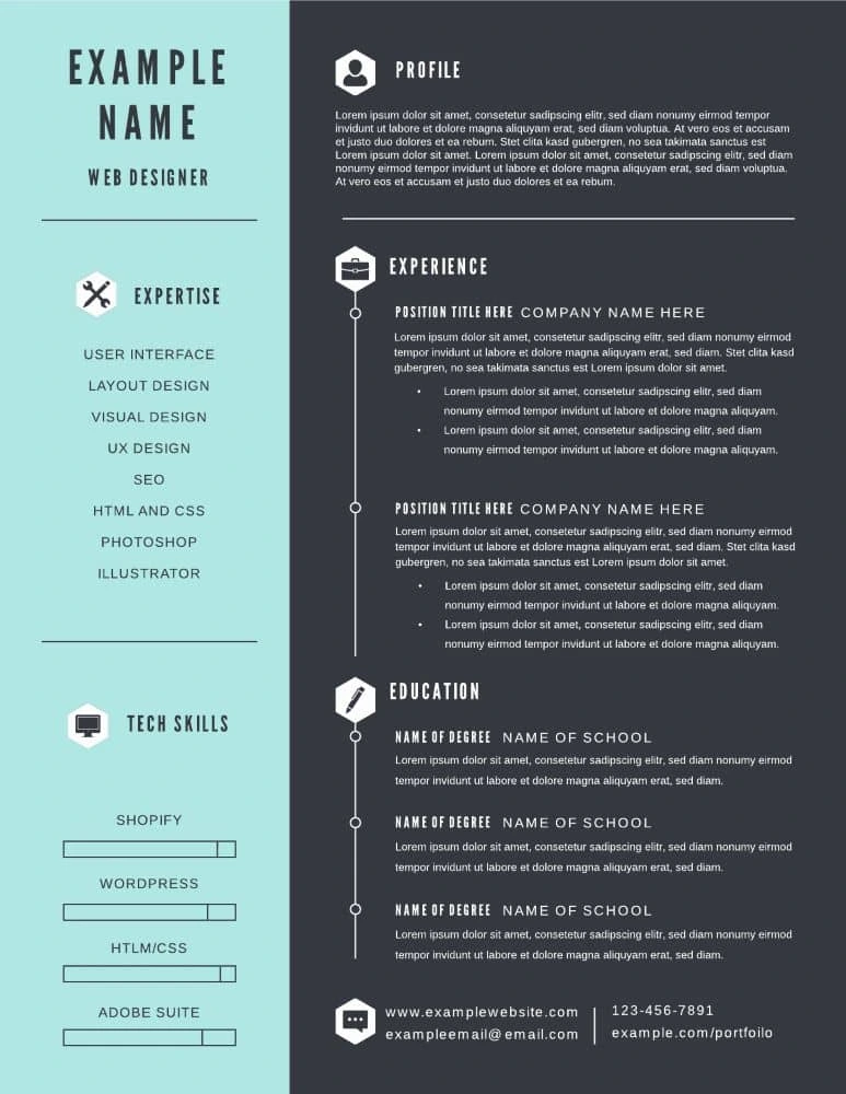 Infographic resume format example