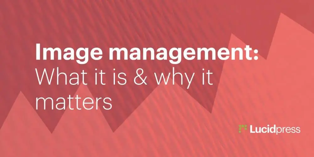 Image management software: What it is & why it matters