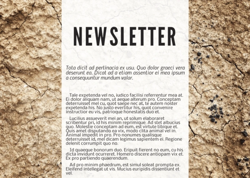 digital newsletter