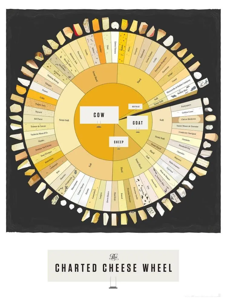 The charted cheese wheel infographic