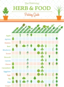 The essential herb and food pairing guide infographic
