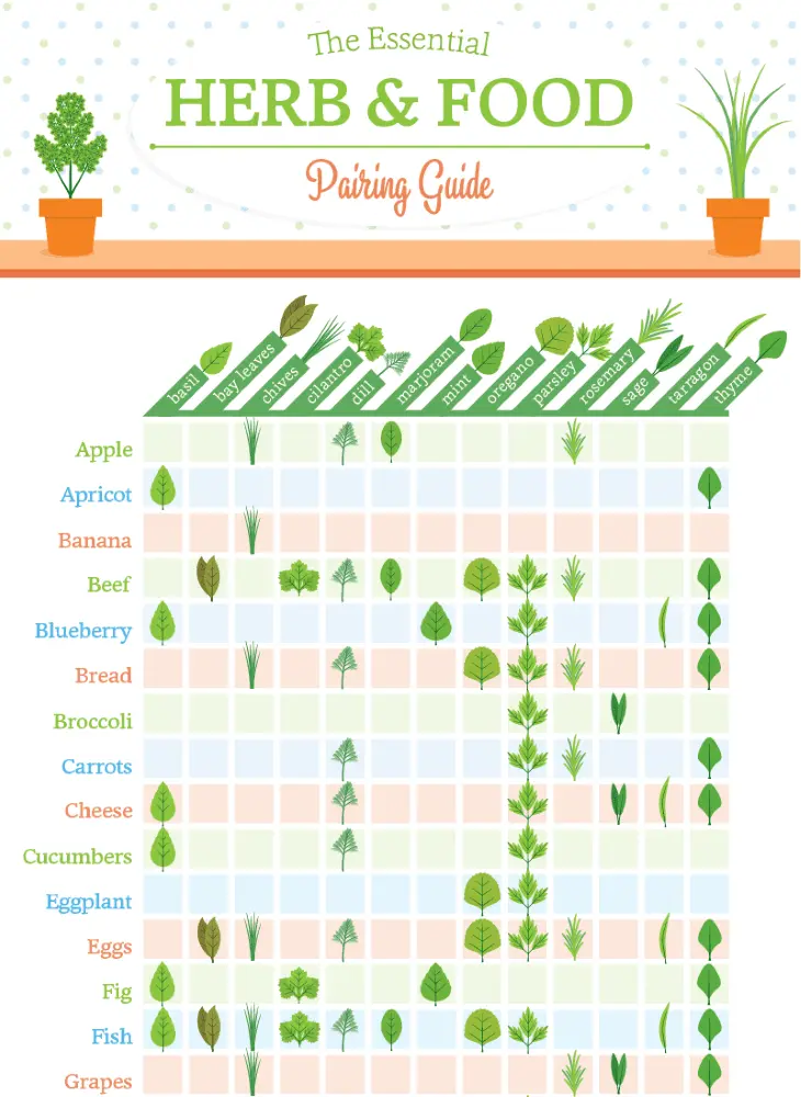 The essential herb and food pairing guide infographic