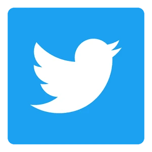 Twitter logo sense of motion