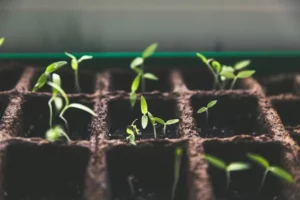 Ultimate guide to nonprofit fundraising