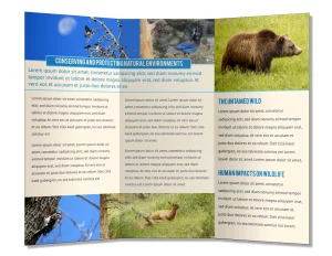 How to make a brochure