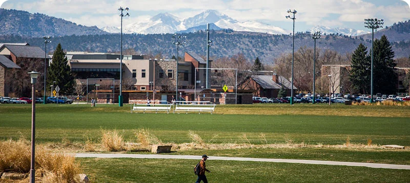 Protecting a statewide brand without policing every project