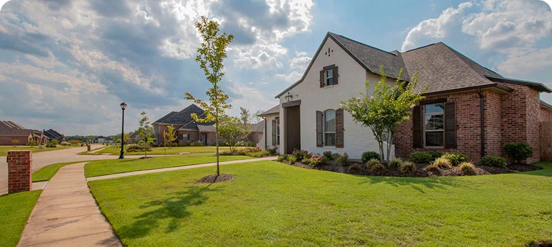 One designer, countless assets