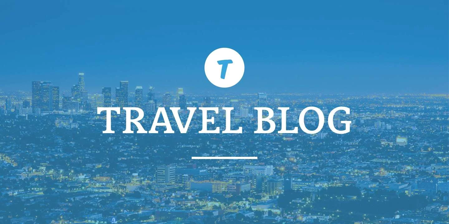 Go with bright and bold