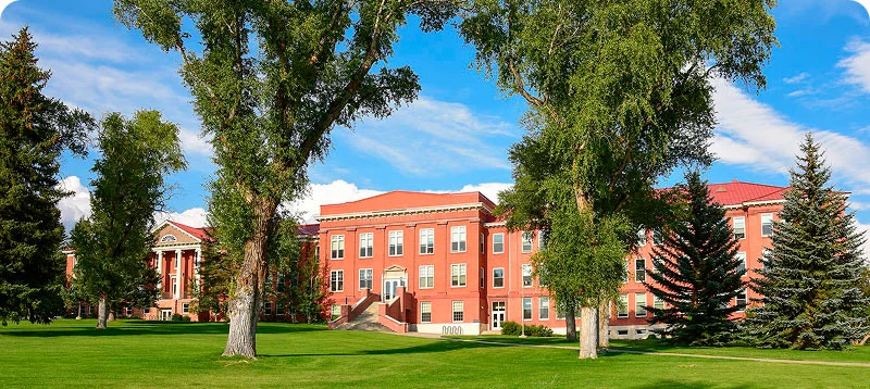 From 2–3 weeks of waiting to same-day campus collateral